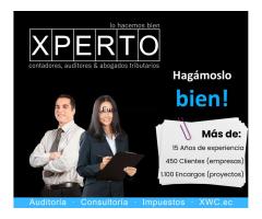 Xperto wolfxcaat - contadores, auditores & abogados tributarios - 3/9