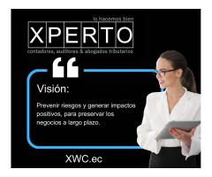 Xperto wolfxcaat - contadores, auditores & abogados tributarios - 6/9