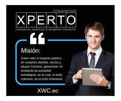 Xperto wolfxcaat - contadores, auditores & abogados tributarios - 7/9