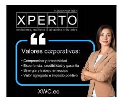 Xperto wolfxcaat - contadores, auditores & abogados tributarios - 8/9