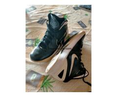 Nike  zoom  hyperdunk  flywire  55  € - 8/10