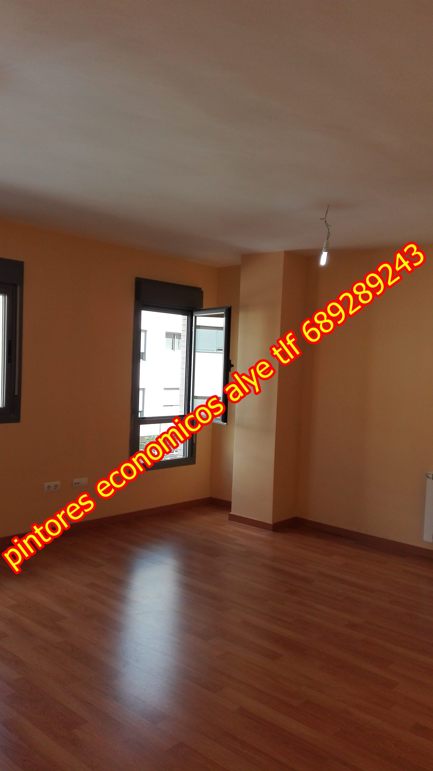 Pintor en coslada. español 689289243