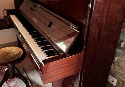 vendo-mobil-home-louisiane_7tqntpq_3-6