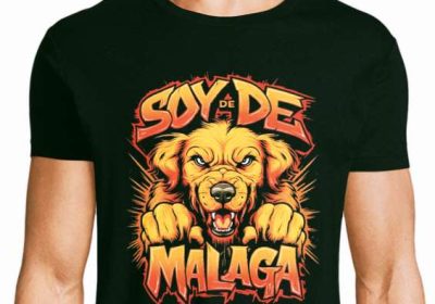 vendo-mobil-home-louisiane_7tqntpq_3-7