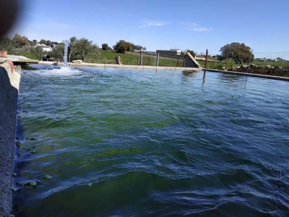 Se vende terreno de regadío (huerta)