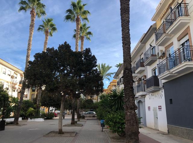 Local calipso salobreña