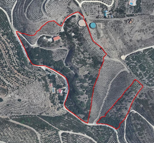 Se vende finca de aguacates y mangos