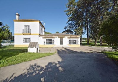 29a7bd50-d287-4f11-b1e3-2cb307780931