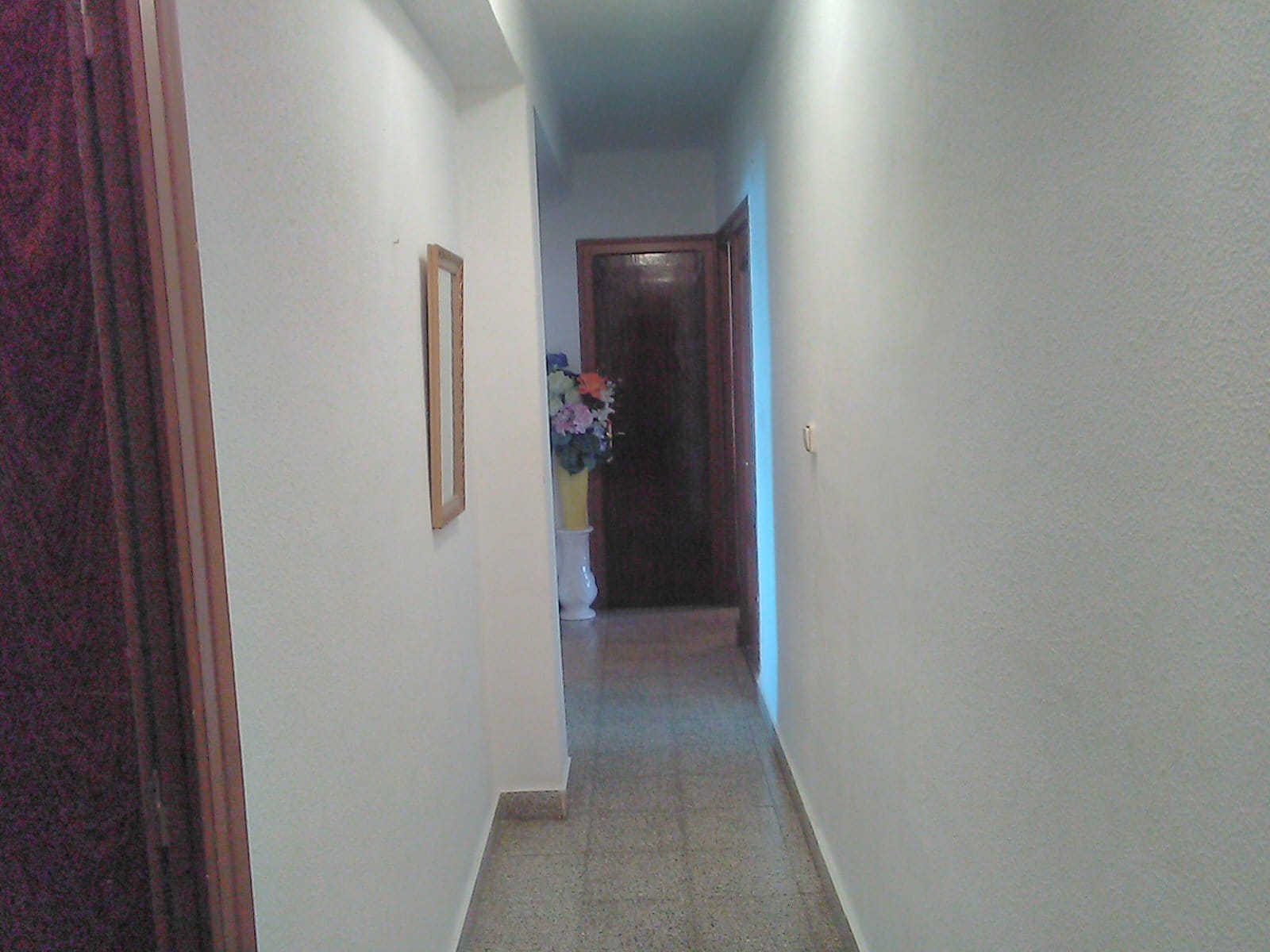 Momoto gp 2026 motorland aragon, pisos en alquiler