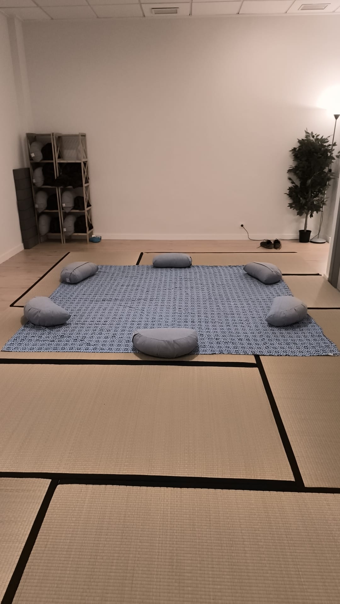 🌿 estudio shiatsu satori – tu espacio de bienestar
