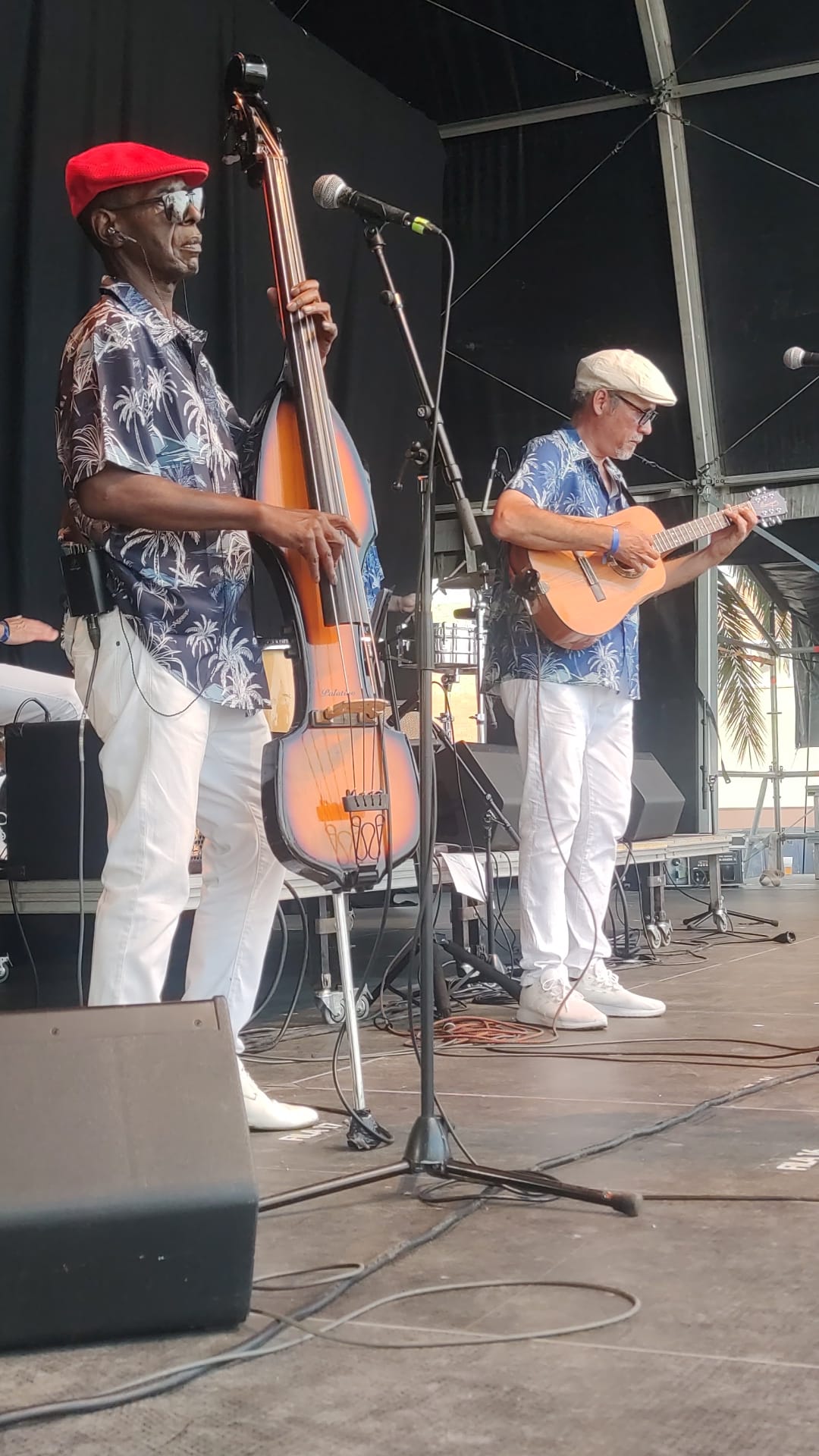 Conjunto tradicion cariñosa