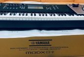 Korg pa5x, korg pa4x, korg pa4x mg2 edition ,  korg nautilus , korg pa1000 mg edition, korg pa-1000, yamaha genos2 76-key, yamaha genos , yamaha tyros5 ,  yamaha modx8+ , yamaha psr-sx900