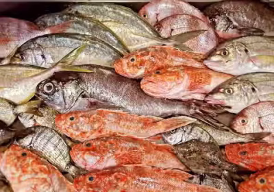 1f6d50b4-13e3-470d-adef-2fd89480893e