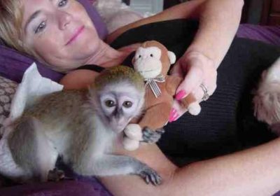 c9b65d01e61015799b671109f561a20f-2