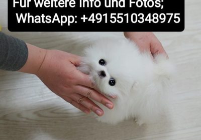 WhatsApp-Image-2026-06-19-at-11.50.28-PM-3